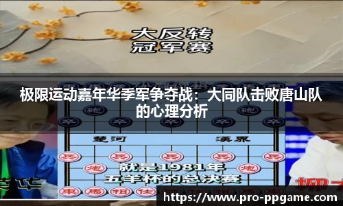 PP电子平台